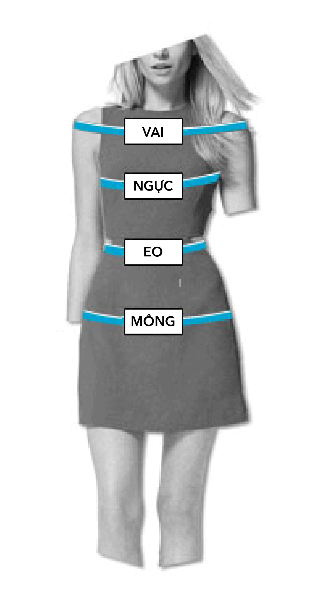 Model Size
