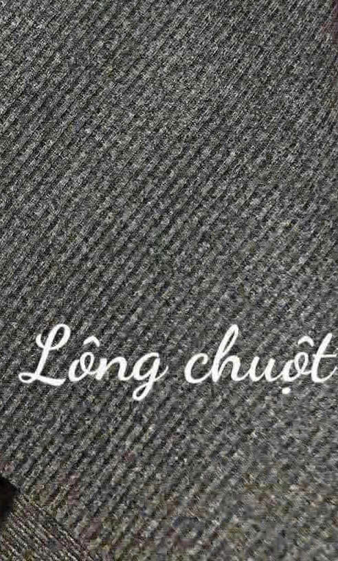 ÁO GIỮ NHIỆT LÔNG CHUỘT CO GIÃN 4 CHIỀU